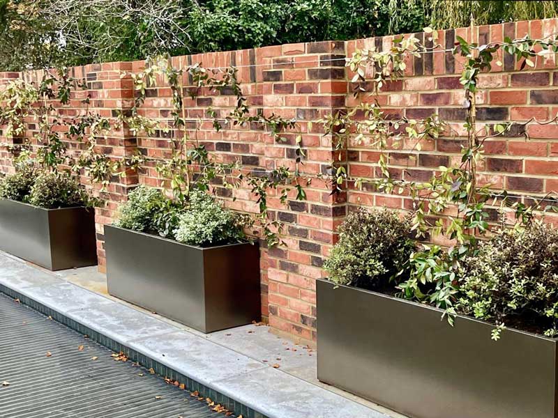 planted containers make a drab brick wall into a fabulous feature. Designed by David Loy of Your Garden Design