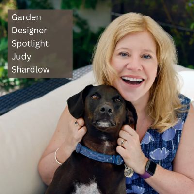 garden designer judy shardlow from heartwood garden design