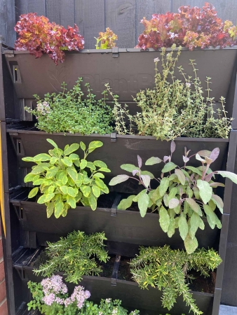 Small Garden With Living Wall